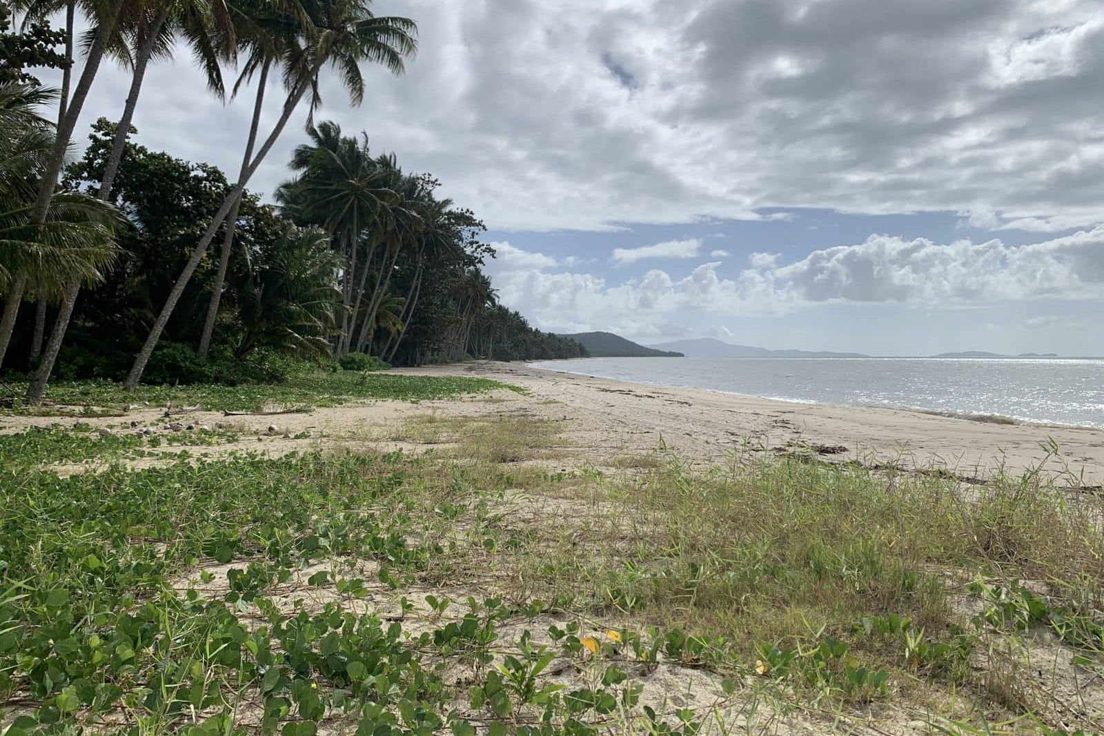 Fresh sand has been added to Newell Beach. Picture: Supplied