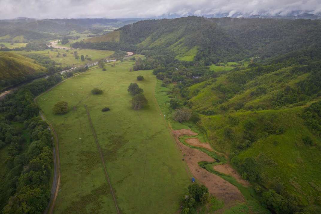 The Tranquility/Daintree Falls property where $1.38m from the state government will be used to restore Wet Tropics rainforests. Picture: Rainforest Rescue/Martin Stringer.