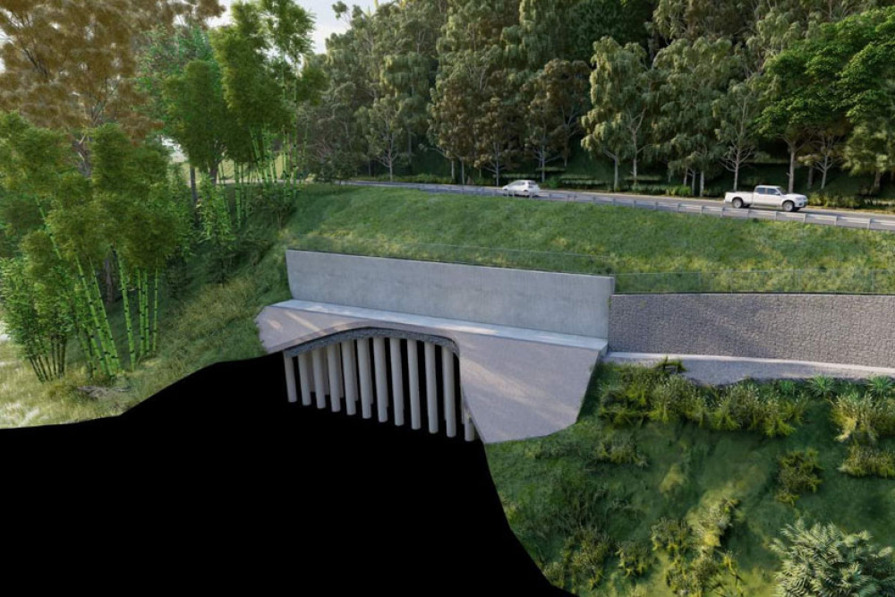 An artist’s impression showing a cross-section of concrete piling, gabion wall and retaining wall required for slope stabilisation on the Mossman-Daintree Road. Picture: TMR