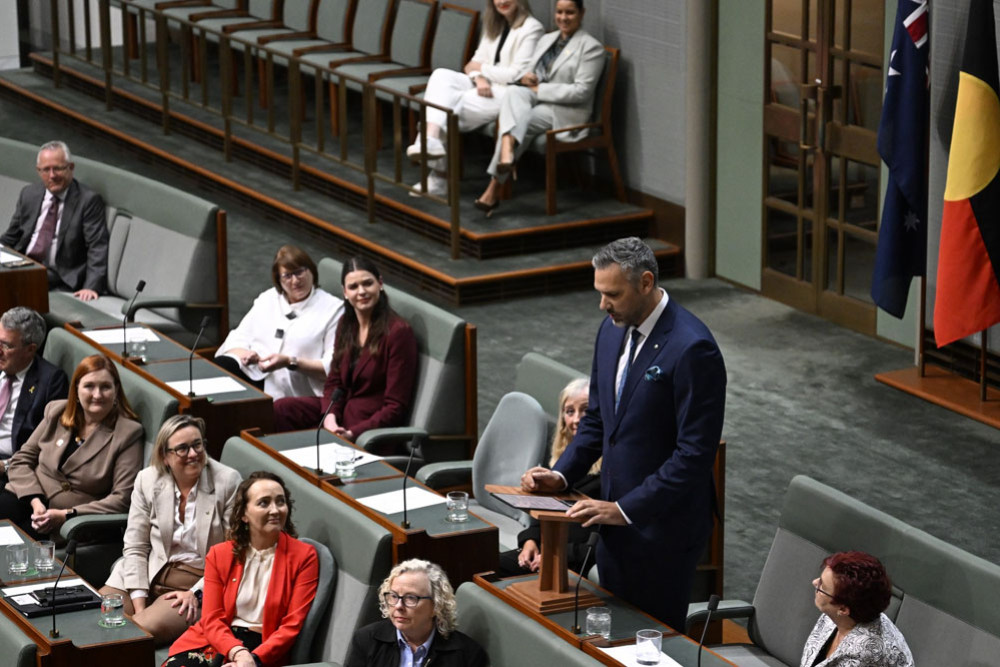 Federal Member for Leichhardt Matt Smith gives his maiden speech in federal parliament last week. Picture: Matt Smith’s office/Facebook