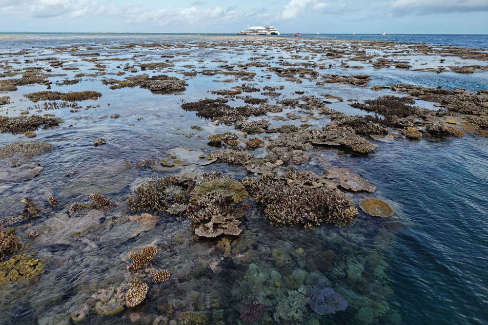 At low tide many corals and clams were exposed on the surface at Agincourt Reef. Inset: An image from drone mapping. Pictures: Pang Tse, Indepth Video and Photography