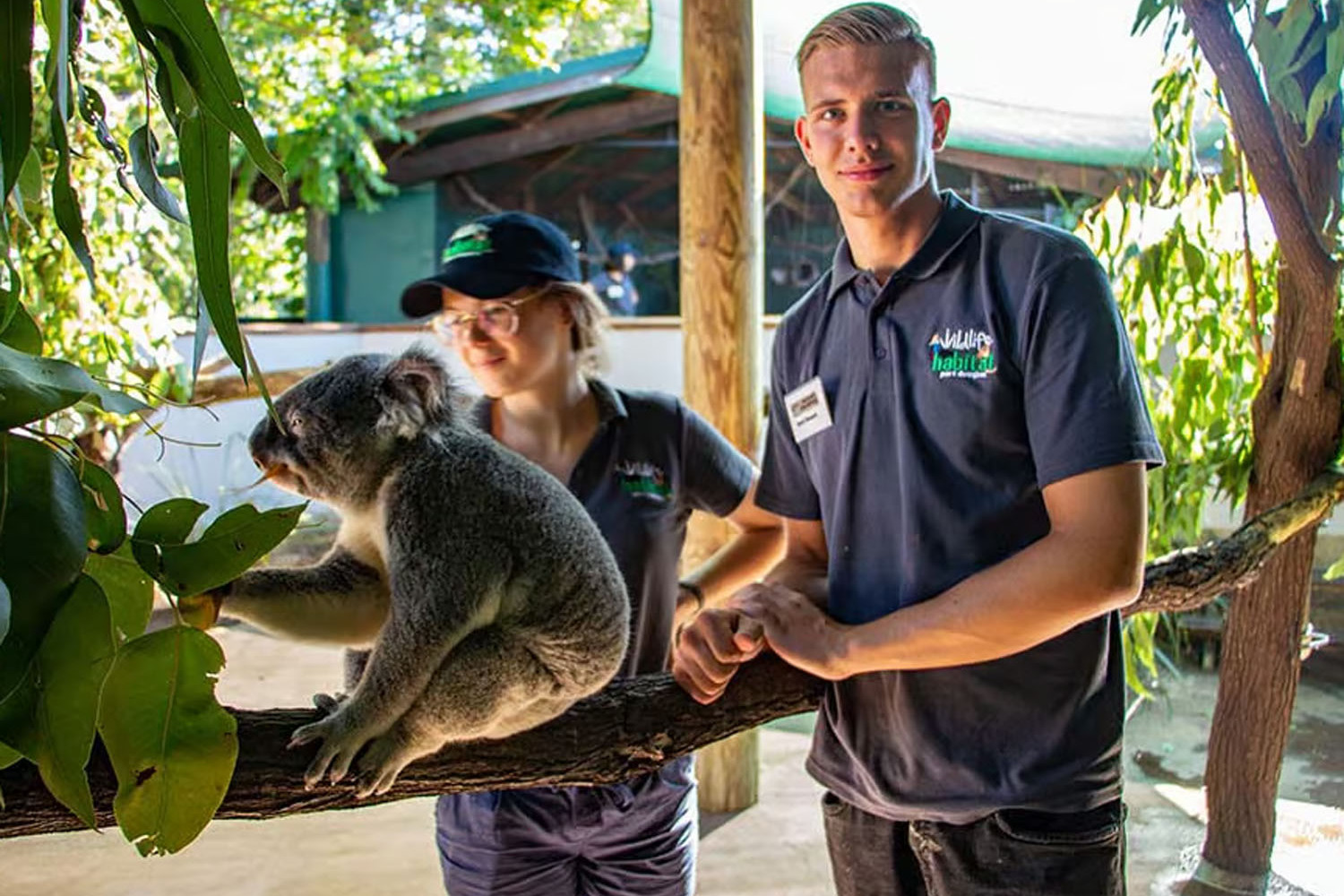 Volunteers are needed to help at the Wildlife Habitat. Picture: Wildlife Habitat
