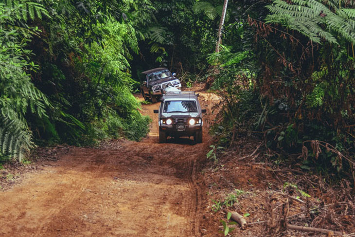 The amazing CREB Track has reopened but drivers are reminded to check conditions before heading off. Picture: Tourism Tropical North Queensland