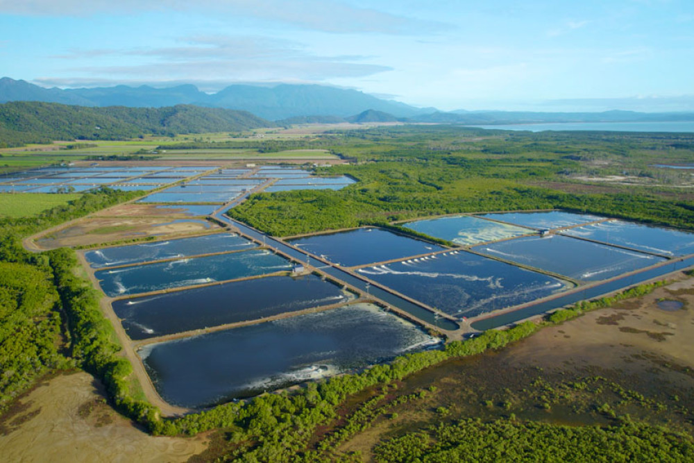 The Killaloe Mainstream Aquaculture fish farm at the centre of odours affecting neighbours over two weeks. Picture: Mainstream Aquaculture