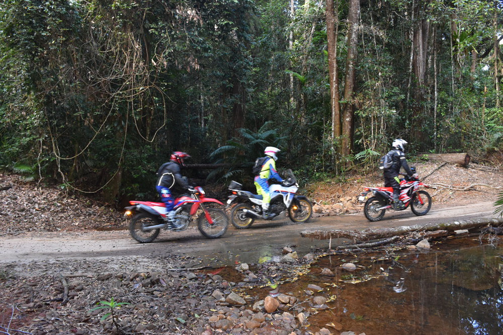 Jungle tours take you to a variety of locations. Inset: Eric Falkenhagen motors his way through the recently re opened trail. Pictures: Supplied