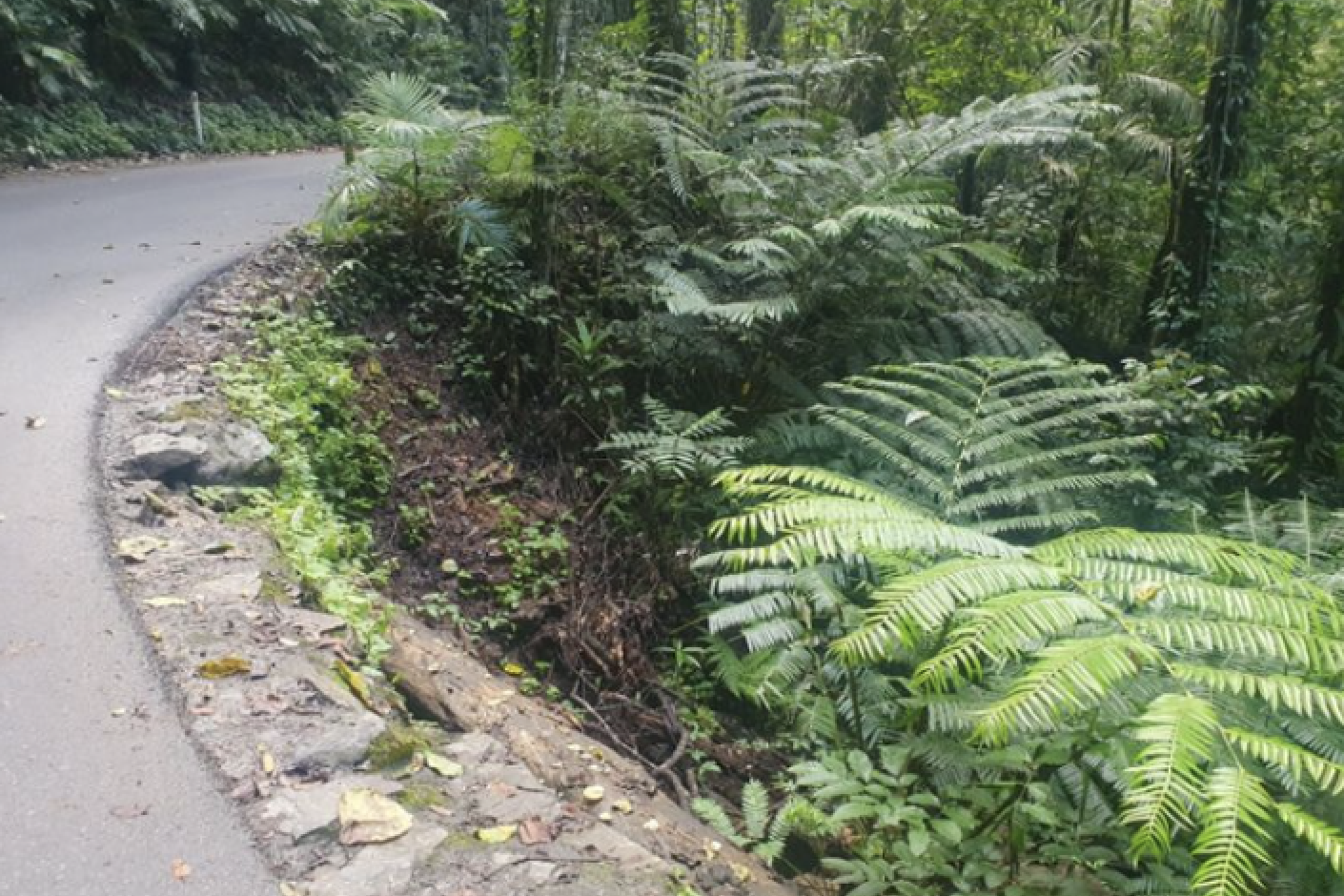 Range widening works - feature photo