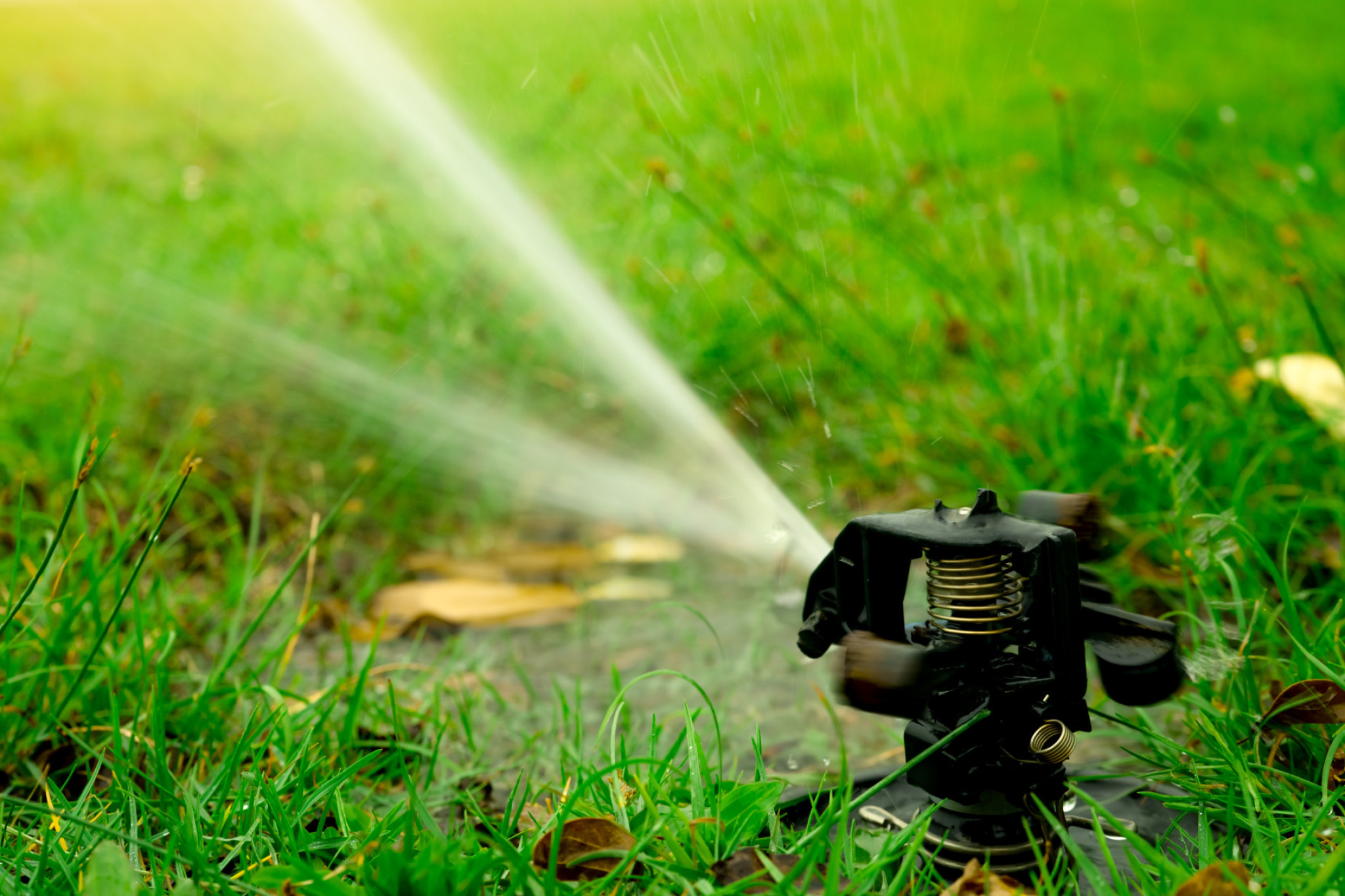 Water restrictions for the Douglas Shire in case of future natural disasters.