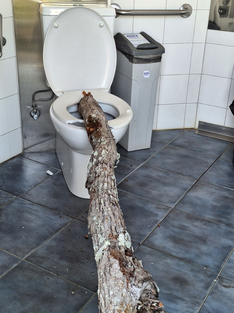 An example of damage to park toilet facilities.