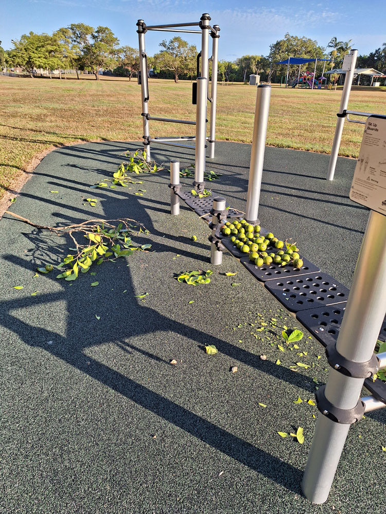 Park facilities left in a mess, with tree damage.