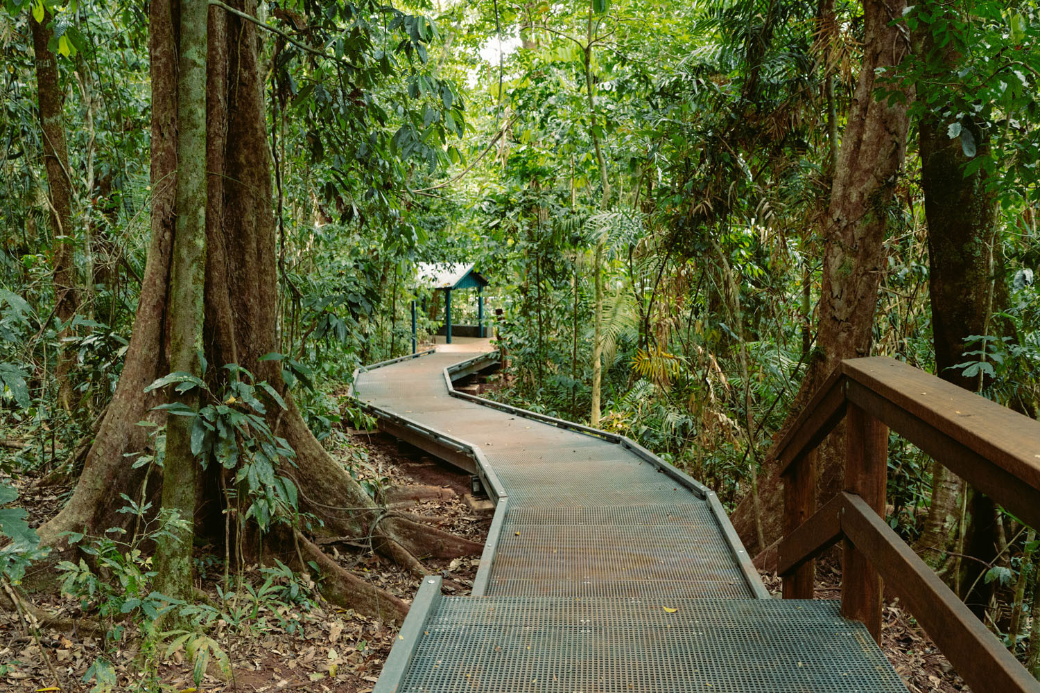 The new Jindalba boardwalk. Picture: Supplied