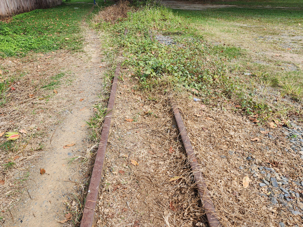 The cane tracks are growing over, but locals are ready to move on.